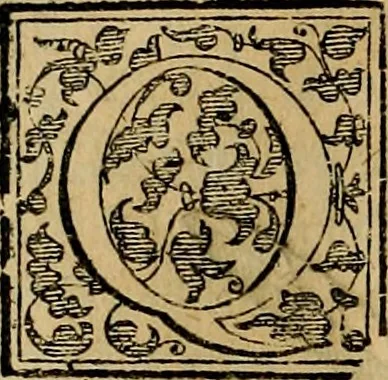 An illustration from Trattato di Christoforo Acosta africano medico & chirurgo della historia, natvra, et virtv delle droghe medicinali, & altri semplici rarissimi, che vengono portati dalle Indie Orientali in Europa : con le figure delle piante ritratte, & disegnate dal viuo poste a' luoghi proprij : nuouamente recato dalla spagnuola nella nostra lingua : con due indici, vno de' capi principali, l'altro delle cose di più momento, che si ritrouano in tutta l'opera, 1585, leaf 313