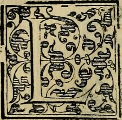 An illustration from Trattato di Christoforo Acosta africano medico & chirurgo della historia, natvra, et virtv delle droghe medicinali, & altri semplici rarissimi, che vengono portati dalle Indie Orientali in Europa : con le figure delle piante ritratte, & disegnate dal viuo poste a' luoghi proprij : nuouamente recato dalla spagnuola nella nostra lingua : con due indici, vno de' capi principali, l'altro delle cose di più momento, che si ritrouano in tutta l'opera, 1585, leaf 319