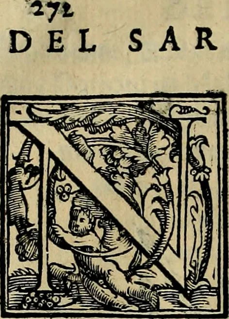 An illustration from Trattato di Christoforo Acosta africano medico & chirurgo della historia, natvra, et virtv delle droghe medicinali, & altri semplici rarissimi, che vengono portati dalle Indie Orientali in Europa : con le figure delle piante ritratte, & disegnate dal viuo poste a' luoghi proprij : nuouamente recato dalla spagnuola nella nostra lingua : con due indici, vno de' capi principali, l'altro delle cose di più momento, che si ritrouano in tutta l'opera, 1585, leaf 325