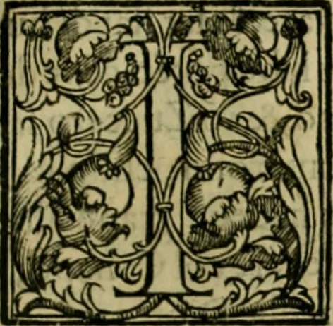 An illustration from Trattato di Christoforo Acosta africano medico & chirurgo della historia, natvra, et virtv delle droghe medicinali, & altri semplici rarissimi, che vengono portati dalle Indie Orientali in Europa : con le figure delle piante ritratte, & disegnate dal viuo poste a' luoghi proprij : nuouamente recato dalla spagnuola nella nostra lingua : con due indici, vno de' capi principali, l'altro delle cose di più momento, che si ritrouano in tutta l'opera, 1585, leaf 330