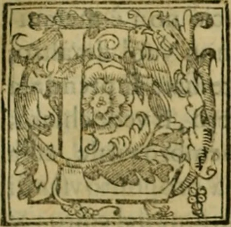 An illustration from Trattato di Christoforo Acosta africano medico & chirurgo della historia, natvra, et virtv delle droghe medicinali, & altri semplici rarissimi, che vengono portati dalle Indie Orientali in Europa : con le figure delle piante ritratte, & disegnate dal viuo poste a' luoghi proprij : nuouamente recato dalla spagnuola nella nostra lingua : con due indici, vno de' capi principali, l'altro delle cose di più momento, che si ritrouano in tutta l'opera, 1585, leaf 332