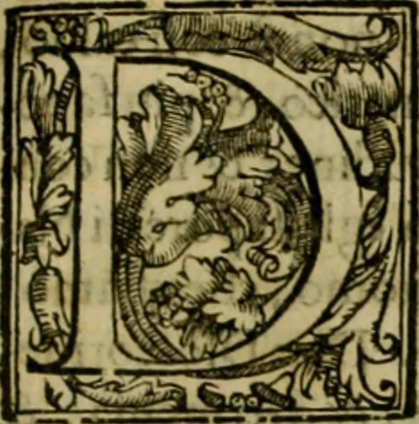 An illustration from Trattato di Christoforo Acosta africano medico & chirurgo della historia, natvra, et virtv delle droghe medicinali, & altri semplici rarissimi, che vengono portati dalle Indie Orientali in Europa : con le figure delle piante ritratte, & disegnate dal viuo poste a' luoghi proprij : nuouamente recato dalla spagnuola nella nostra lingua : con due indici, vno de' capi principali, l'altro delle cose di più momento, che si ritrouano in tutta l'opera, 1585, leaf 348