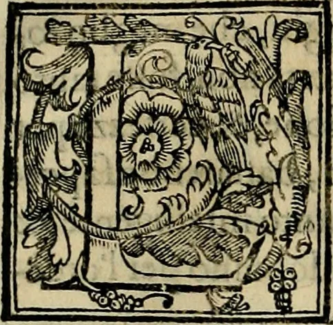 An illustration from Trattato di Christoforo Acosta africano medico & chirurgo della historia, natvra, et virtv delle droghe medicinali, & altri semplici rarissimi, che vengono portati dalle Indie Orientali in Europa : con le figure delle piante ritratte, & disegnate dal viuo poste a' luoghi proprij : nuouamente recato dalla spagnuola nella nostra lingua : con due indici, vno de' capi principali, l'altro delle cose di più momento, che si ritrouano in tutta l'opera, 1585, leaf 359