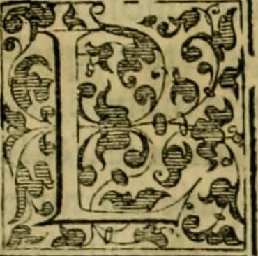 An illustration from Trattato di Christoforo Acosta africano medico & chirurgo della historia, natvra, et virtv delle droghe medicinali, & altri semplici rarissimi, che vengono portati dalle Indie Orientali in Europa : con le figure delle piante ritratte, & disegnate dal viuo poste a' luoghi proprij : nuouamente recato dalla spagnuola nella nostra lingua : con due indici, vno de' capi principali, l'altro delle cose di più momento, che si ritrouano in tutta l'opera, 1585, leaf 364