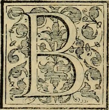 An illustration from Trattato di Christoforo Acosta africano medico & chirurgo della historia, natvra, et virtv delle droghe medicinali, & altri semplici rarissimi, che vengono portati dalle Indie Orientali in Europa : con le figure delle piante ritratte, & disegnate dal viuo poste a' luoghi proprij : nuouamente recato dalla spagnuola nella nostra lingua : con due indici, vno de' capi principali, l'altro delle cose di più momento, che si ritrouano in tutta l'opera, 1585, leaf 371