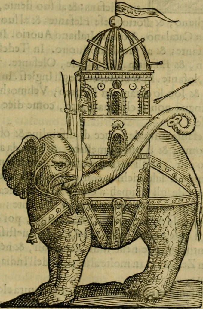 An illustration from Trattato di Christoforo Acosta africano medico & chirurgo della historia, natvra, et virtv delle droghe medicinali, & altri semplici rarissimi, che vengono portati dalle Indie Orientali in Europa : con le figure delle piante ritratte, & disegnate dal viuo poste a' luoghi proprij : nuouamente recato dalla spagnuola nella nostra lingua : con due indici, vno de' capi principali, l'altro delle cose di più momento, che si ritrouano in tutta l'opera, 1585, leaf 372