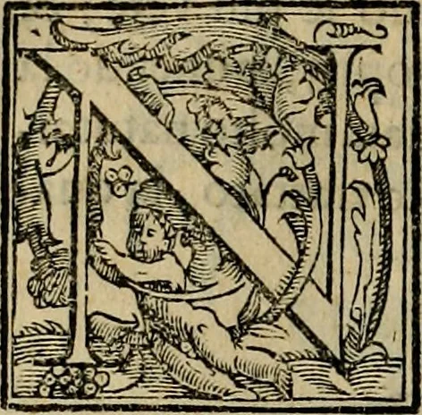 An illustration from Trattato di Christoforo Acosta africano medico & chirurgo della historia, natvra, et virtv delle droghe medicinali, & altri semplici rarissimi, che vengono portati dalle Indie Orientali in Europa : con le figure delle piante ritratte, & disegnate dal viuo poste a' luoghi proprij : nuouamente recato dalla spagnuola nella nostra lingua : con due indici, vno de' capi principali, l'altro delle cose di più momento, che si ritrouano in tutta l'opera, 1585, leaf 373