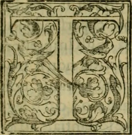 An illustration from Trattato di Christoforo Acosta africano medico & chirurgo della historia, natvra, et virtv delle droghe medicinali, & altri semplici rarissimi, che vengono portati dalle Indie Orientali in Europa : con le figure delle piante ritratte, & disegnate dal viuo poste a' luoghi proprij : nuouamente recato dalla spagnuola nella nostra lingua : con due indici, vno de' capi principali, l'altro delle cose di più momento, che si ritrouano in tutta l'opera, 1585, leaf 46