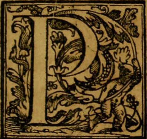 An illustration from Trattato di Christoforo Acosta africano medico & chirurgo della historia, natvra, et virtv delle droghe medicinali, & altri semplici rarissimi, che vengono portati dalle Indie Orientali in Europa : con le figure delle piante ritratte, & disegnate dal viuo poste a' luoghi proprij : nuouamente recato dalla spagnuola nella nostra lingua : con due indici, vno de' capi principali, l'altro delle cose di più momento, che si ritrouano in tutta l'opera, 1585, leaf 54