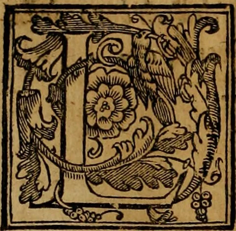 An illustration from Trattato di Christoforo Acosta africano medico & chirurgo della historia, natvra, et virtv delle droghe medicinali, & altri semplici rarissimi, che vengono portati dalle Indie Orientali in Europa : con le figure delle piante ritratte, & disegnate dal viuo poste a' luoghi proprij : nuouamente recato dalla spagnuola nella nostra lingua : con due indici, vno de' capi principali, l'altro delle cose di più momento, che si ritrouano in tutta l'opera, 1585, leaf 57