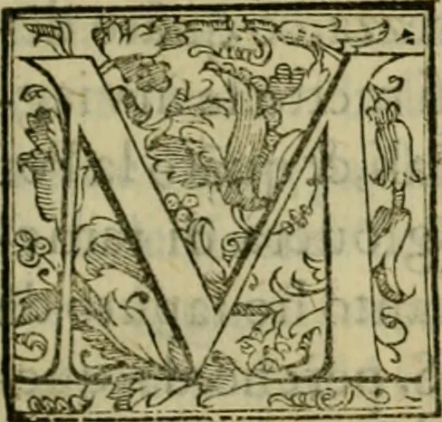 An illustration from Trattato di Christoforo Acosta africano medico & chirurgo della historia, natvra, et virtv delle droghe medicinali, & altri semplici rarissimi, che vengono portati dalle Indie Orientali in Europa : con le figure delle piante ritratte, & disegnate dal viuo poste a' luoghi proprij : nuouamente recato dalla spagnuola nella nostra lingua : con due indici, vno de' capi principali, l'altro delle cose di più momento, che si ritrouano in tutta l'opera, 1585, leaf 6
