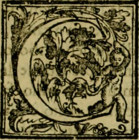 An illustration from Trattato di Christoforo Acosta africano medico & chirurgo della historia, natvra, et virtv delle droghe medicinali, & altri semplici rarissimi, che vengono portati dalle Indie Orientali in Europa : con le figure delle piante ritratte, & disegnate dal viuo poste a' luoghi proprij : nuouamente recato dalla spagnuola nella nostra lingua : con due indici, vno de' capi principali, l'altro delle cose di più momento, che si ritrouano in tutta l'opera, 1585, leaf 70