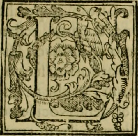 An illustration from Trattato di Christoforo Acosta africano medico & chirurgo della historia, natvra, et virtv delle droghe medicinali, & altri semplici rarissimi, che vengono portati dalle Indie Orientali in Europa : con le figure delle piante ritratte, & disegnate dal viuo poste a' luoghi proprij : nuouamente recato dalla spagnuola nella nostra lingua : con due indici, vno de' capi principali, l'altro delle cose di più momento, che si ritrouano in tutta l'opera, 1585, leaf 78