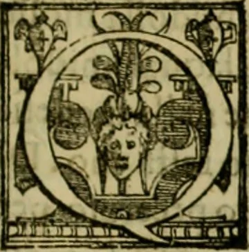 An illustration from Trattato di Christoforo Acosta africano medico & chirurgo della historia, natvra, et virtv delle droghe medicinali, & altri semplici rarissimi, che vengono portati dalle Indie Orientali in Europa : con le figure delle piante ritratte, & disegnate dal viuo poste a' luoghi proprij : nuouamente recato dalla spagnuola nella nostra lingua : con due indici, vno de' capi principali, l'altro delle cose di più momento, che si ritrouano in tutta l'opera, 1585, leaf 82