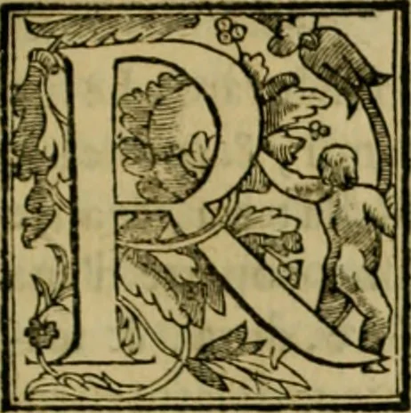 An illustration from Trattato di Christoforo Acosta africano medico & chirurgo della historia, natvra, et virtv delle droghe medicinali, & altri semplici rarissimi, che vengono portati dalle Indie Orientali in Europa : con le figure delle piante ritratte, & disegnate dal viuo poste a' luoghi proprij : nuouamente recato dalla spagnuola nella nostra lingua : con due indici, vno de' capi principali, l'altro delle cose di più momento, che si ritrouano in tutta l'opera, 1585, leaf 86