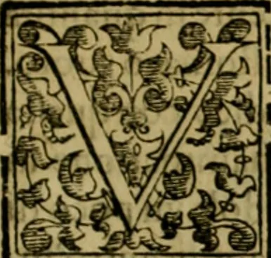 An illustration from Trattato di Christoforo Acosta africano medico & chirurgo della historia, natvra, et virtv delle droghe medicinali, & altri semplici rarissimi, che vengono portati dalle Indie Orientali in Europa : con le figure delle piante ritratte, & disegnate dal viuo poste a' luoghi proprij : nuouamente recato dalla spagnuola nella nostra lingua : con due indici, vno de' capi principali, l'altro delle cose di più momento, che si ritrouano in tutta l'opera, 1585, leaf 96
