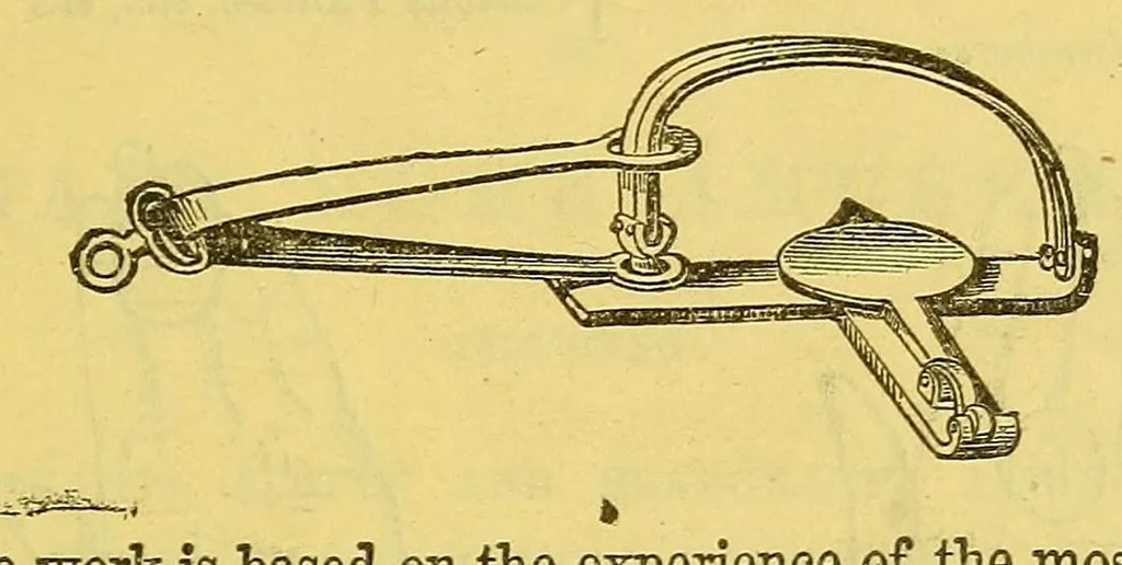 An illustration from Dick's parlor exhibitions containing a large and varied collection of elegant home amusements .., 1882, leaf 5