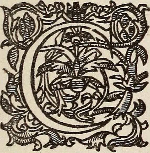 An illustration from Dictionaire de la langue huronne necessaire a cevx qui n'ont l'intelligence d'icelle, 1632, leaf 16