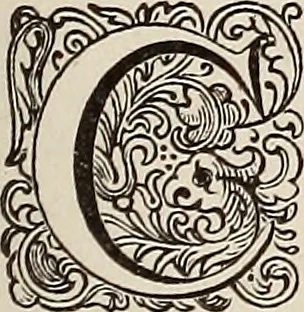An illustration from Dictionaire de la langue huronne necessaire a cevx qui n'ont l'intelligence d'icelle, 1632, leaf 20