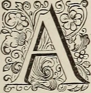 An illustration from Dictionaire de la langue huronne necessaire a cevx qui n'ont l'intelligence d'icelle, 1632, leaf 234