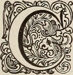 An illustration from Dictionaire de la langue huronne necessaire a cevx qui n'ont l'intelligence d'icelle, 1632, leaf 24
