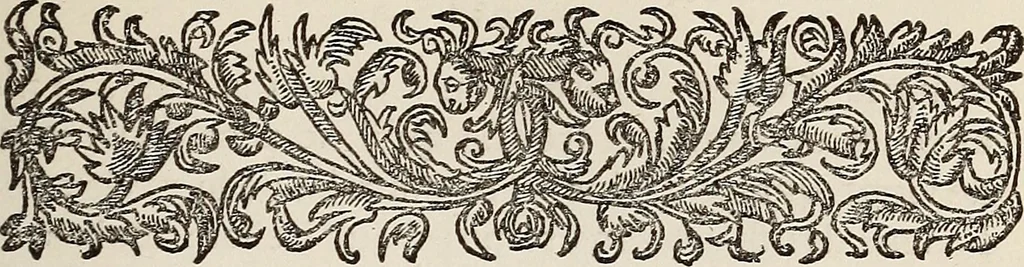 An illustration from Dictionaire de la langue huronne necessaire a cevx qui n'ont l'intelligence d'icelle, 1632, leaf 246