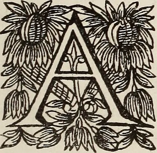 An illustration from Dictionaire de la langue huronne necessaire a cevx qui n'ont l'intelligence d'icelle, 1632, leaf 38
