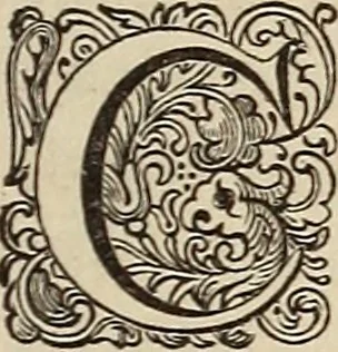An illustration from Dictionaire de la langue huronne necessaire a cevx qui n'ont l'intelligence d'icelle, 1632, leaf 78