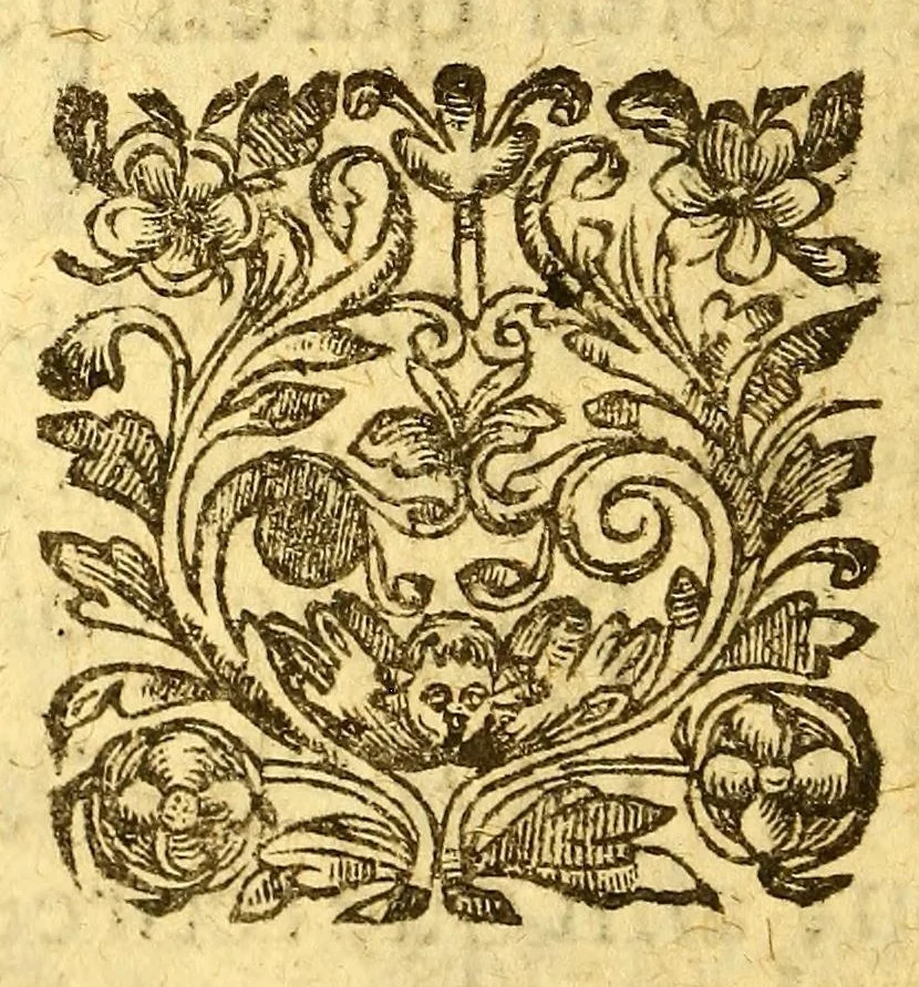 An illustration from Dictionaire de la langue huronne, necessaire à ceux qui n'ont l'intelligence d'icelle, & ont à traiter auec les sauuages du pays., 1632, leaf 14