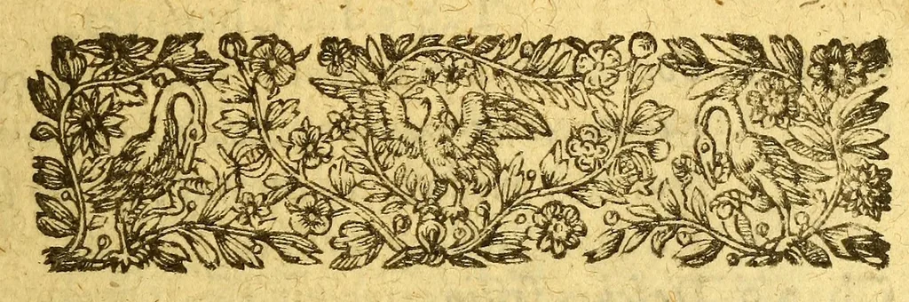 An illustration from Dictionaire de la langue huronne, necessaire à ceux qui n'ont l'intelligence d'icelle, & ont à traiter auec les sauuages du pays., 1632, leaf 23