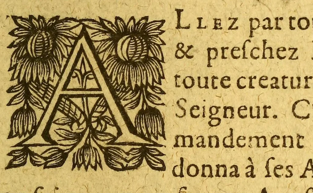 An illustration from Dictionaire de la langue huronne, necessaire à ceux qui n'ont l'intelligence d'icelle, & ont à traiter auec les sauuages du pays., 1632, leaf 29