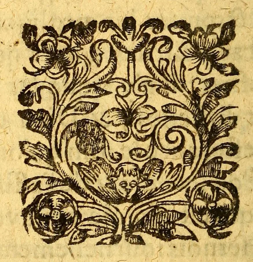 An illustration from Dictionaire de la langue huronne, necessaire à ceux qui n'ont l'intelligence d'icelle, & ont à traiter auec les sauuages du pays., 1632, leaf 422