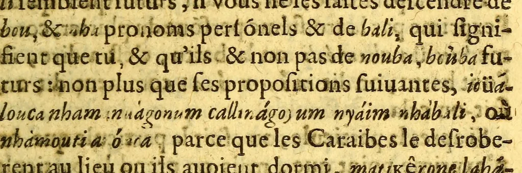 An illustration from Dictionaire francois-caraibe,, 1666, leaf 99