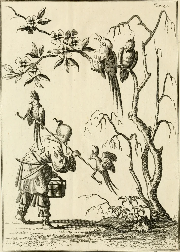 An illustration from Dictionarium polygraphicum, or, The whole body of arts regularly digested ... : illustrated with fifty-six copper plates, 1758, leaf 21
