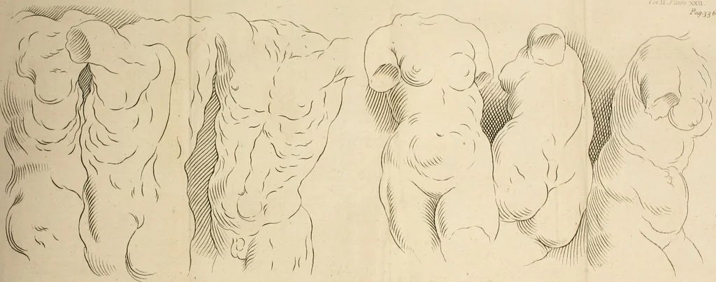 An illustration from Dictionarium polygraphicum, or, The whole body of arts regularly digested ... : illustrated with fifty-six copper plates, 1758, leaf 385