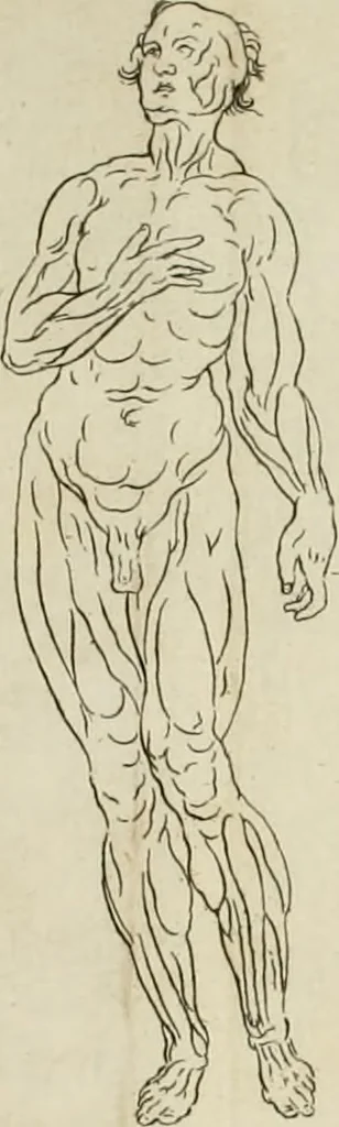 An illustration from Dictionarium polygraphicum: or, The whole body of arts regularly digested ... adorned with proper sculptures, curiously engraven on more than fifty copper plates .., 1735, leaf 327