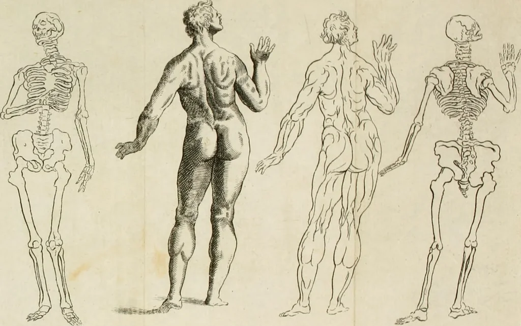 An illustration from Dictionarium polygraphicum: or, The whole body of arts regularly digested ... adorned with proper sculptures, curiously engraven on more than fifty copper plates .., 1735, leaf 327
