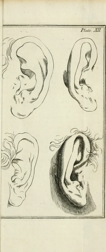 An illustration from Dictionarium polygraphicum: or, The whole body of arts regularly digested ... adorned with proper sculptures, curiously engraven on more than fifty copper plates .., 1735, leaf 350