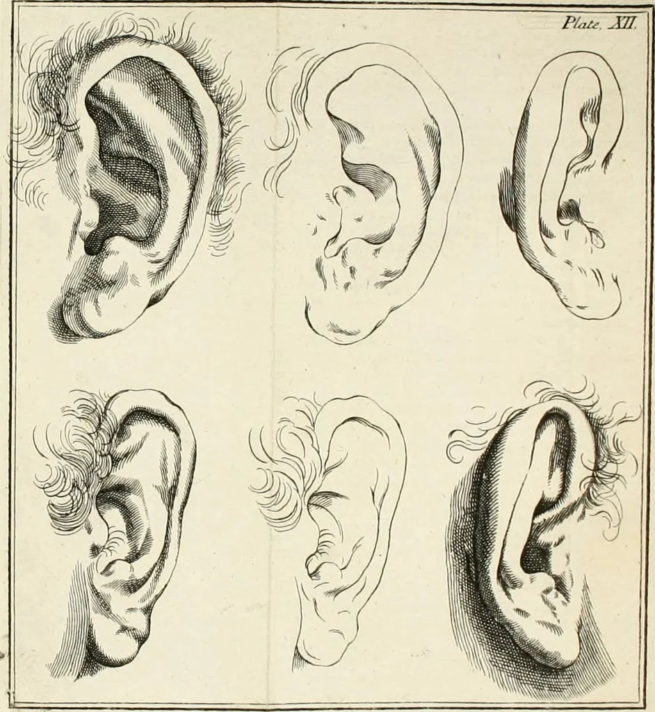An illustration from Dictionarium polygraphicum: or, The whole body of arts regularly digested ... adorned with proper sculptures, curiously engraven on more than fifty copper plates .., 1735, leaf 351