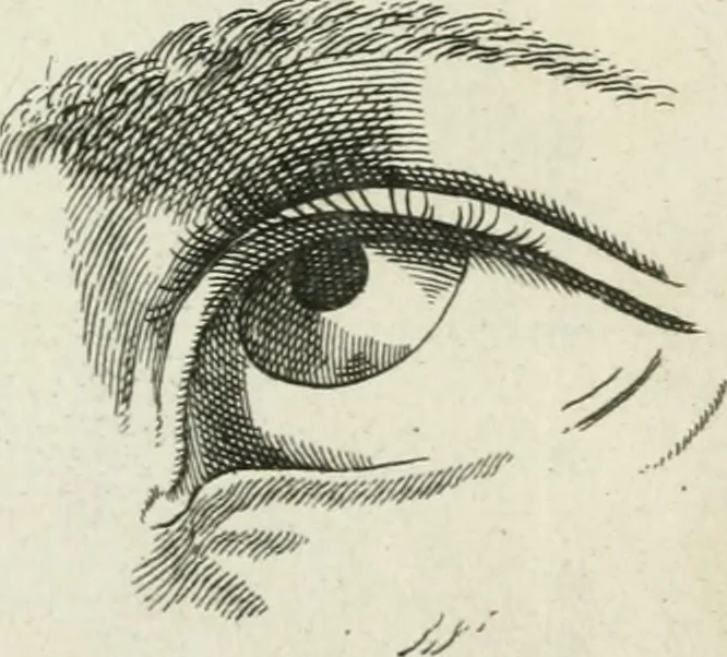 An illustration from Dictionarium polygraphicum: or, The whole body of arts regularly digested ... adorned with proper sculptures, curiously engraven on more than fifty copper plates .., 1735, leaf 442
