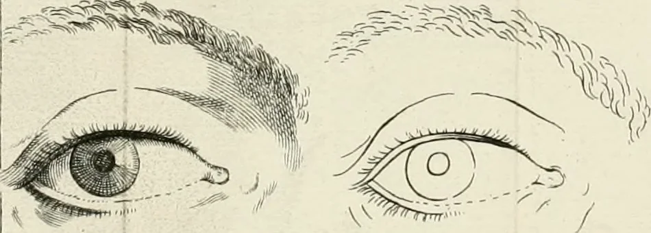 An illustration from Dictionarium polygraphicum: or, The whole body of arts regularly digested ... adorned with proper sculptures, curiously engraven on more than fifty copper plates .., 1735, leaf 443