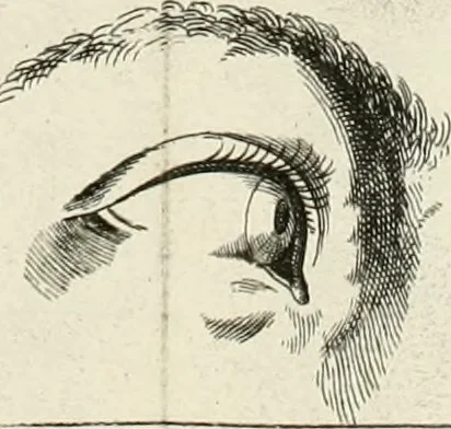 An illustration from Dictionarium polygraphicum: or, The whole body of arts regularly digested ... adorned with proper sculptures, curiously engraven on more than fifty copper plates .., 1735, leaf 443