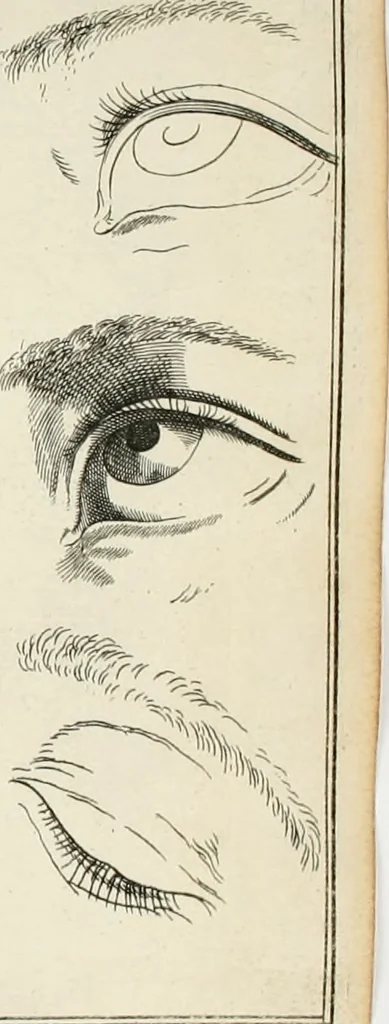 An illustration from Dictionarium polygraphicum: or, The whole body of arts regularly digested ... adorned with proper sculptures, curiously engraven on more than fifty copper plates .., 1735, leaf 443