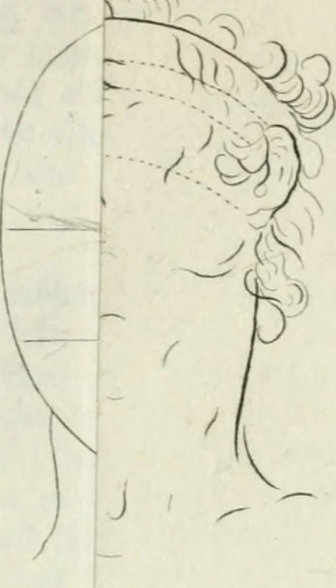 An illustration from Dictionarium polygraphicum: or, The whole body of arts regularly digested ... adorned with proper sculptures, curiously engraven on more than fifty copper plates .., 1735, leaf 446