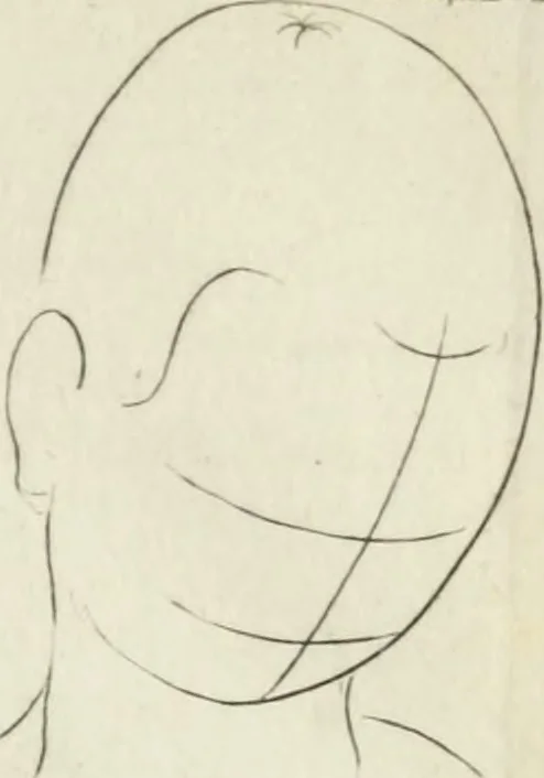 An illustration from Dictionarium polygraphicum: or, The whole body of arts regularly digested ... adorned with proper sculptures, curiously engraven on more than fifty copper plates .., 1735, leaf 446
