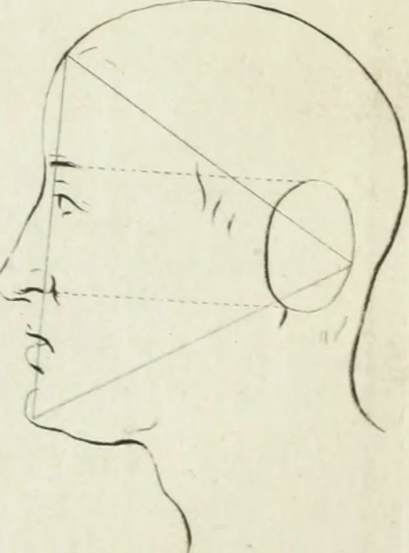 An illustration from Dictionarium polygraphicum: or, The whole body of arts regularly digested ... adorned with proper sculptures, curiously engraven on more than fifty copper plates .., 1735, leaf 446