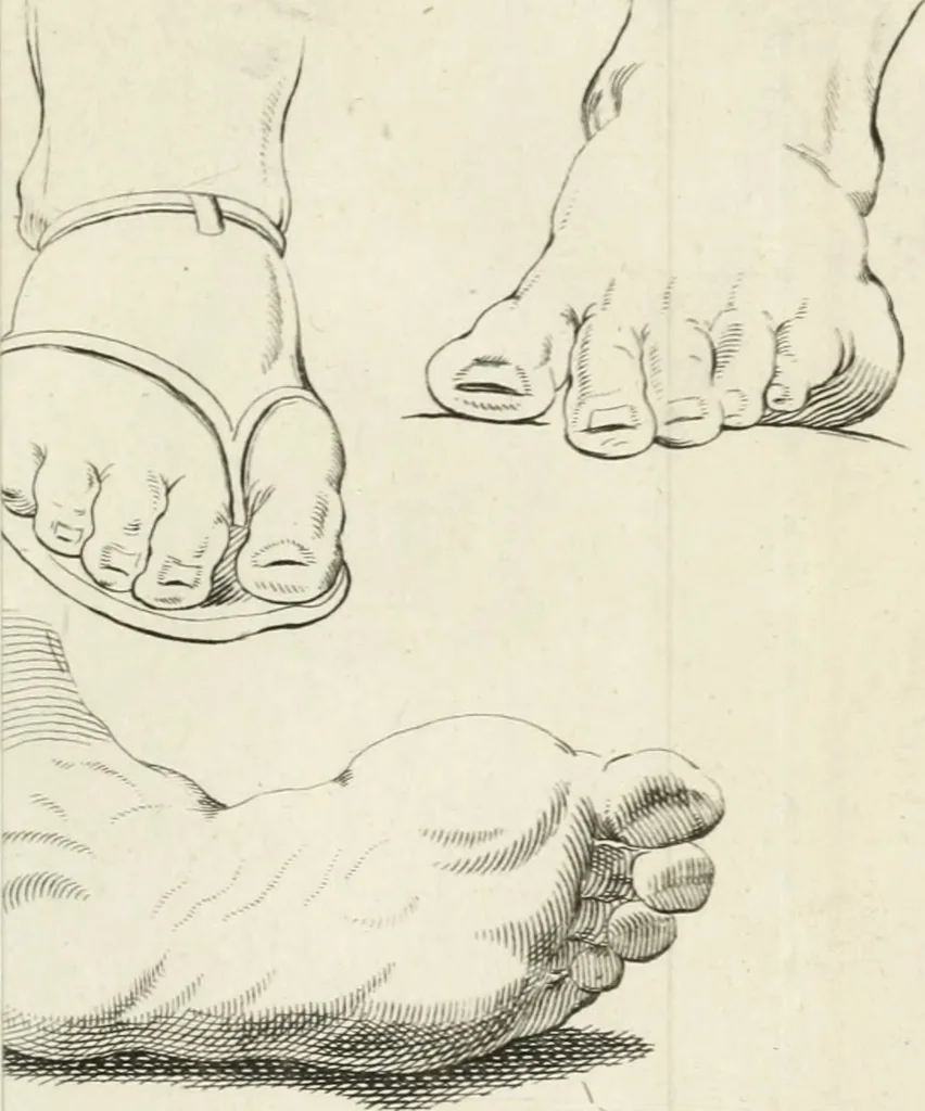 An illustration from Dictionarium polygraphicum: or, The whole body of arts regularly digested ... adorned with proper sculptures, curiously engraven on more than fifty copper plates .., 1735, leaf 456