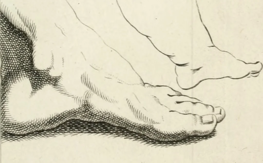 An illustration from Dictionarium polygraphicum: or, The whole body of arts regularly digested ... adorned with proper sculptures, curiously engraven on more than fifty copper plates .., 1735, leaf 456