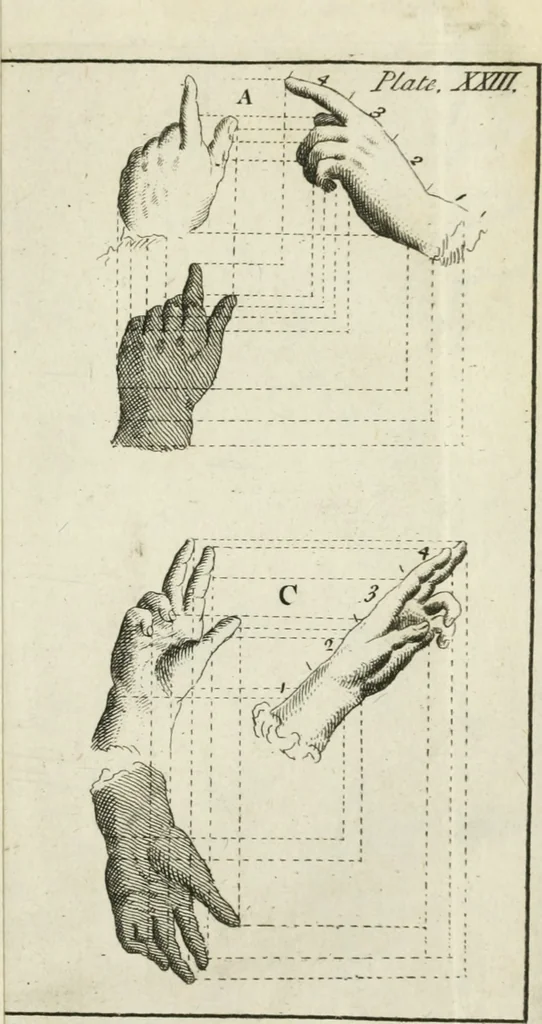 An illustration from Dictionarium polygraphicum: or, The whole body of arts regularly digested ... adorned with proper sculptures, curiously engraven on more than fifty copper plates .., 1735, leaf 594