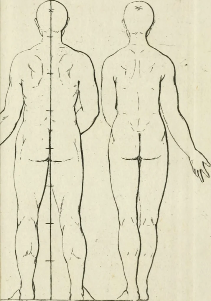 An illustration from Dictionarium polygraphicum: or, The whole body of arts regularly digested ... adorned with proper sculptures, curiously engraven on more than fifty copper plates .., 1735, leaf 618